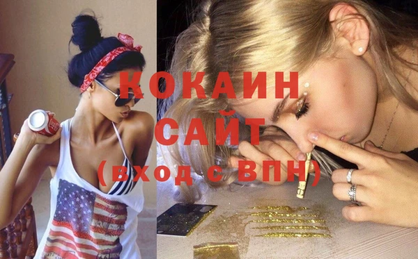 apvp Алексин