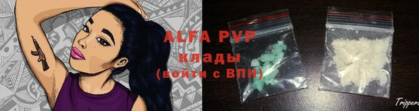 apvp Алексин