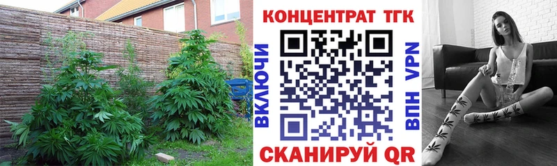 ТГК THC oil  закладка  Нарьян-Мар 